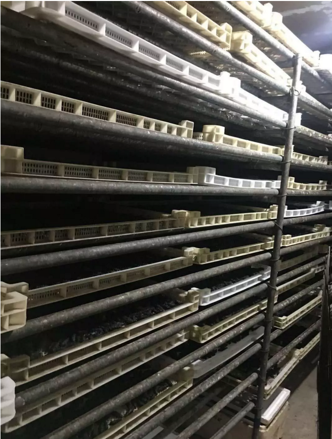 海参热泵烘干 海参热泵烘干