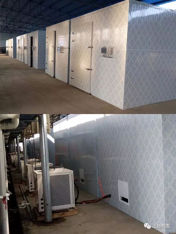 热泵烘干茶叶设备