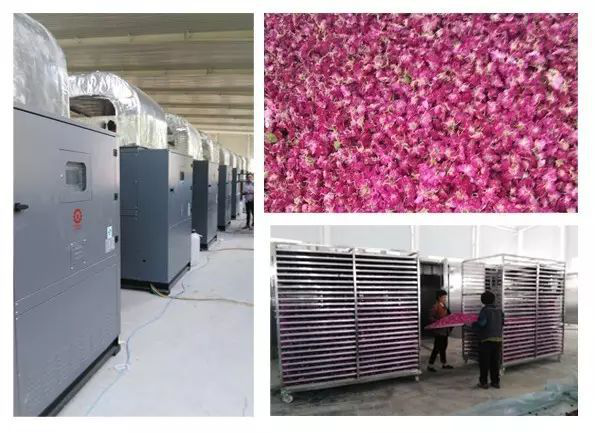 玫瑰花空气能热泵烘干机