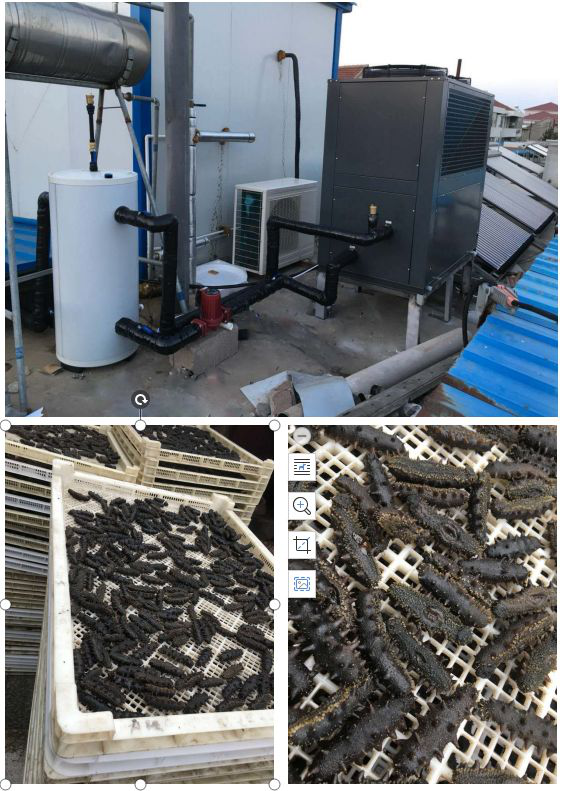 海参热泵烘干机