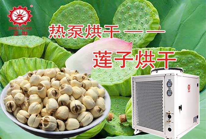 莲子莲心热泵烘干机 莲子莲心热泵烘干机