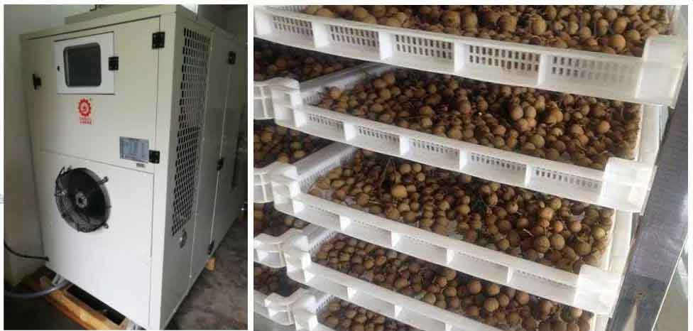 桂圆热泵烘干机工艺 桂圆热泵烘干机工艺