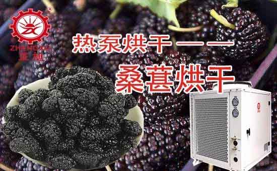 桑葚热泵烘干工艺 桑葚热泵烘干工艺