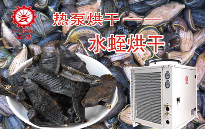 水蛭热泵烘干工艺 水蛭热泵烘干工艺