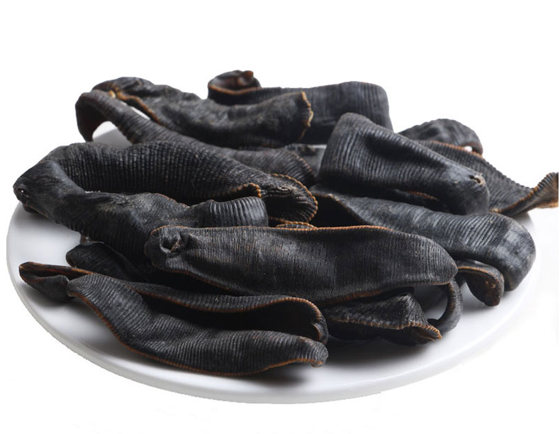 水蛭热泵烘干最佳时间 水蛭热泵烘干最佳时间