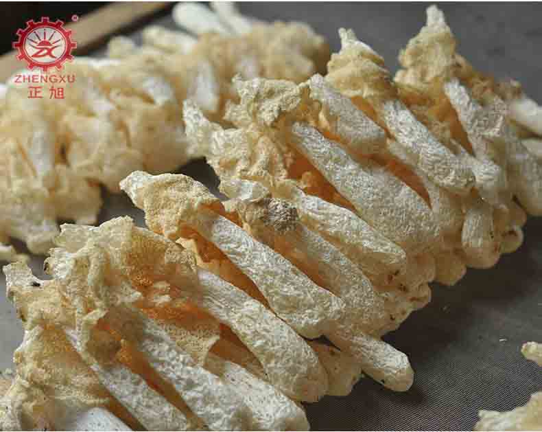 竹笙热泵烘干机及烘干温度 竹笙热泵烘干机及烘干温度