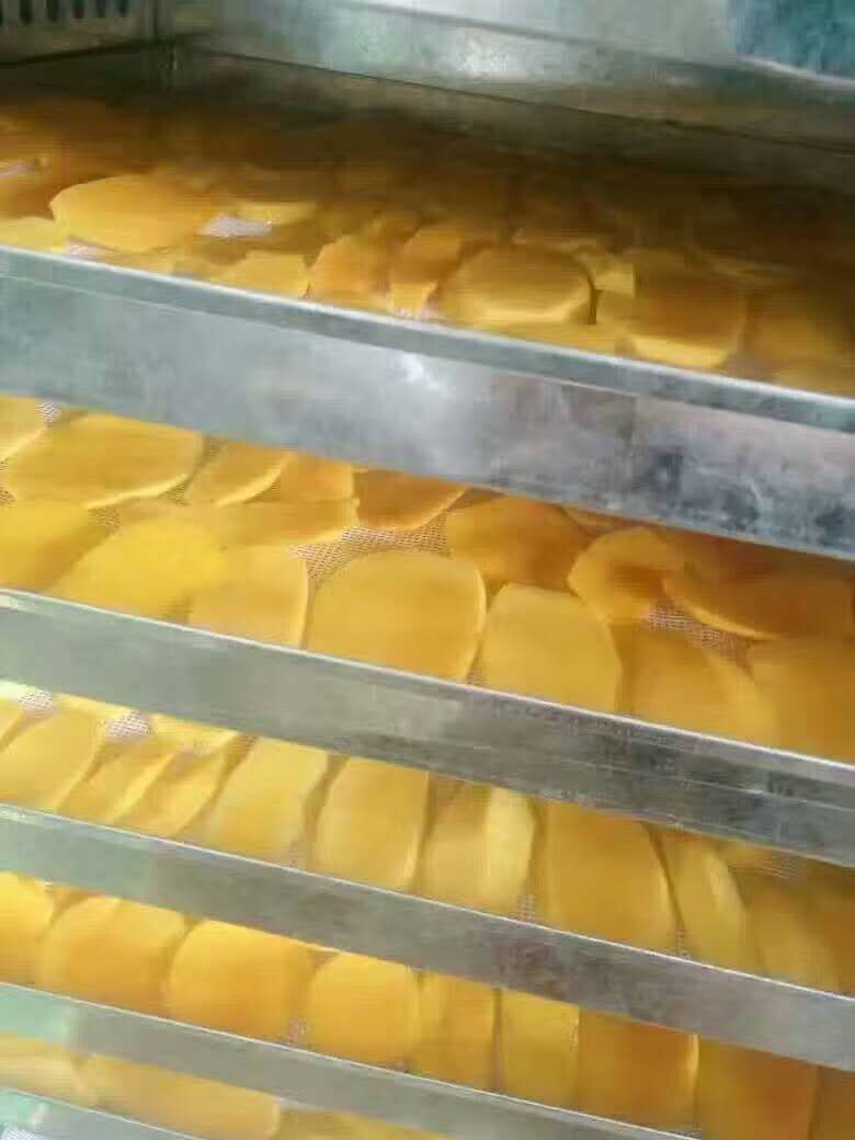 芒果烘干工艺和烘干最佳温度