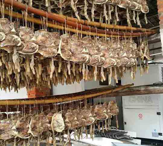 如何建造空气能烘干房?烘干房价格高吗? 如何建造空气能烘干房?烘干房价格高吗?