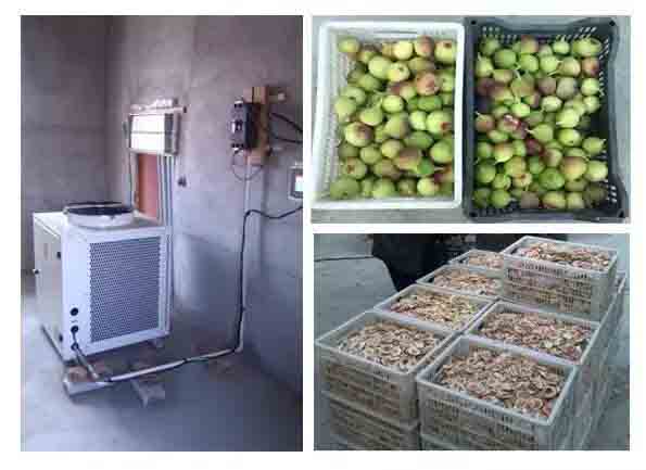 正旭空气能无花果热泵烘干机项目 正旭空气能无花果热泵烘干机项目