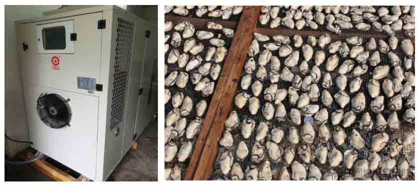 生蚝热泵烘干机 生蚝热泵烘干机