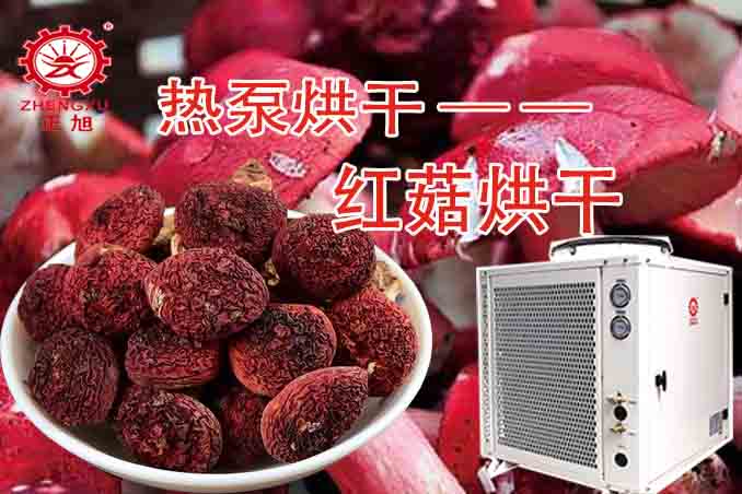 正旭红菇热泵烘干图组 正旭红菇热泵烘干图组