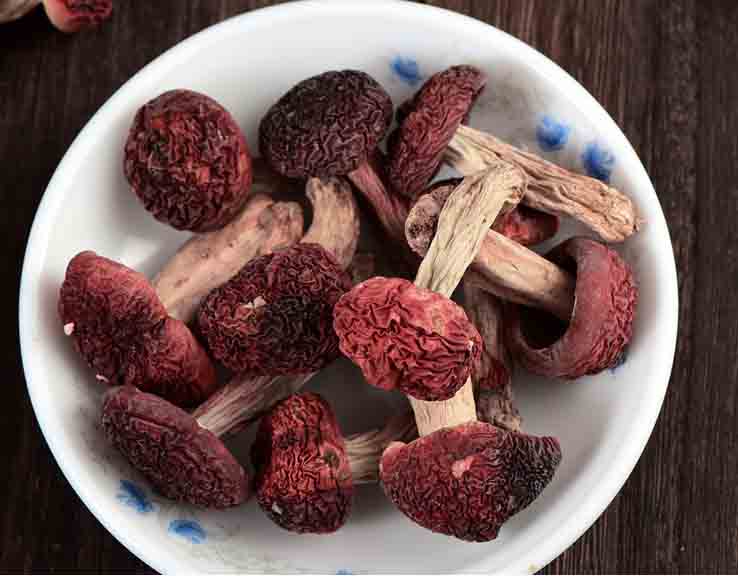 红菇烘干机组图 红菇烘干机组图