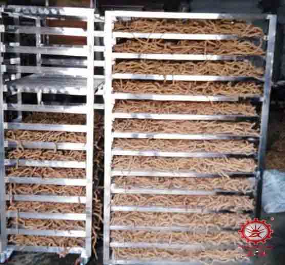 巴戟天烘干工艺(烘干温度和烘干时间) 巴戟天烘干工艺(烘干温度和烘干时间)