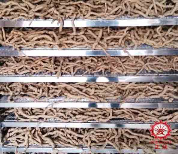 巴戟天热泵烘干工艺(烘干时间和烘干温度) 巴戟天热泵烘干工艺(烘干时间和烘干温度)