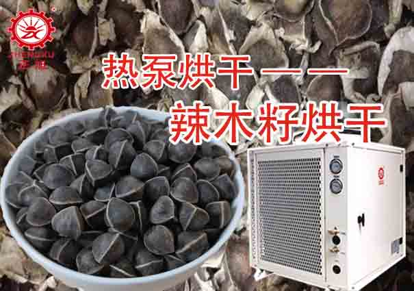 辣木籽烘干工艺(烘干温度和烘干时间) 辣木籽烘干工艺(烘干温度和烘干时间)