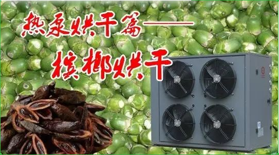 揭开槟榔烘干的面纱 揭开槟榔烘干的面纱