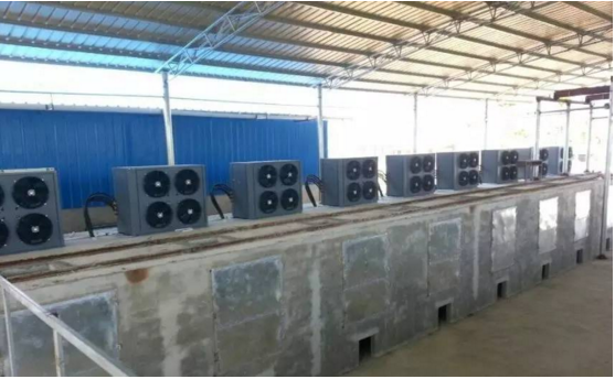 揭开槟榔烘干神秘面纱 揭开槟榔烘干神秘面纱