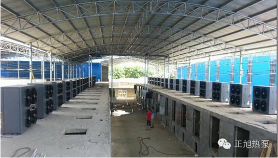 揭开槟榔烘干神秘面纱 揭开槟榔烘干神秘面纱