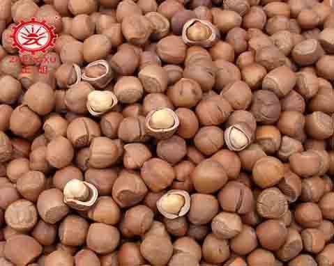 空气能榛子食品烘干机