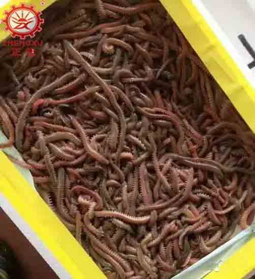 海产品烘干机厂家和烘干设备价格 海产品烘干机厂家和烘干设备价格