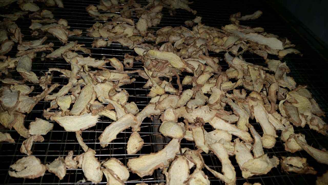 空气能烘干机如何烘干生姜片 空气能烘干机如何烘干生姜片