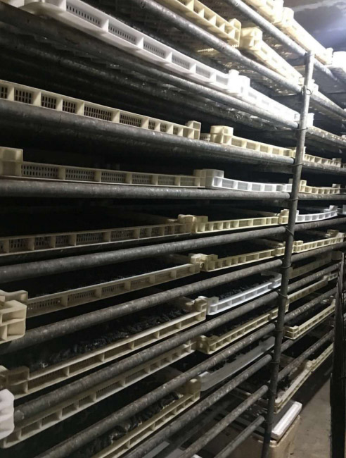 山东蓬莱海参热泵烘干项目