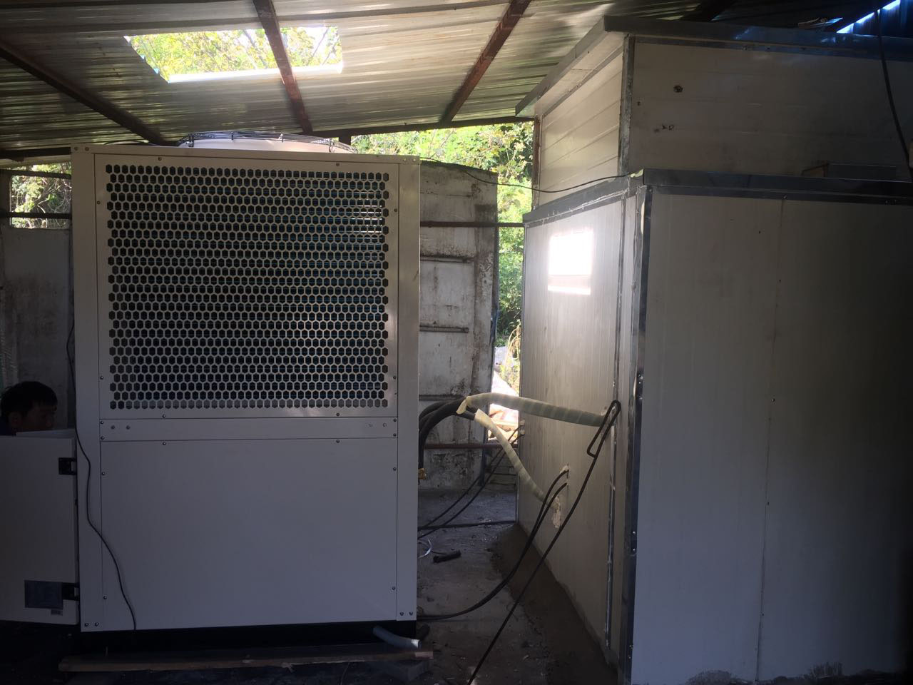 吉林延吉市辣椒烘干项目