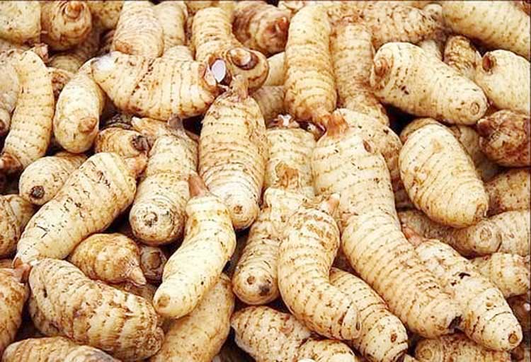 正旭空气能热泵烘干机天麻热泵烘干机空气能热泵天麻烘干机项目案例实拍图片 正旭空气能热泵烘干机天麻热泵烘干机空气能热泵天麻烘干机项目案例实拍图片