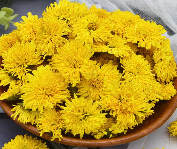 正旭空气能热泵烘干机菊花茶烘干机金丝皇菊茶热泵烘干机项目案例实拍图片 正旭空气能热泵烘干机菊花茶烘干机金丝皇菊茶热泵烘干机项目案例实拍图片